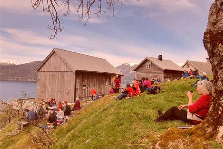 Escorts Knarvik, Norway — Local Companions