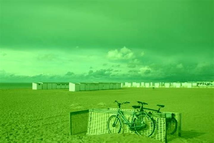 Escorts Knokke-Heist, Belgium — Local Companions