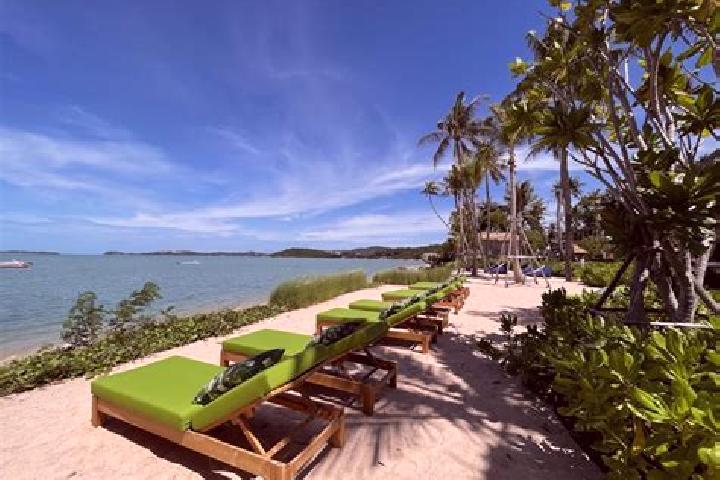 Escorts Ko Samui, Thailand — Local Companions