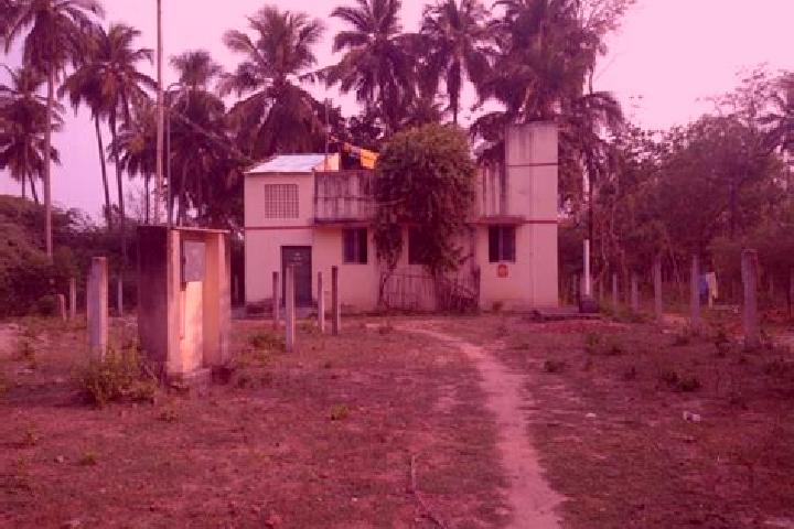 Escorts Kodavasal, India — Local Companions