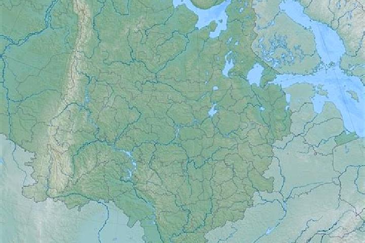 Escorts Kokhma, Russia — Local Companions