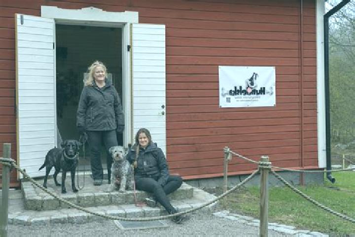 Escorts Kolbaeck, Sweden — Local Companions