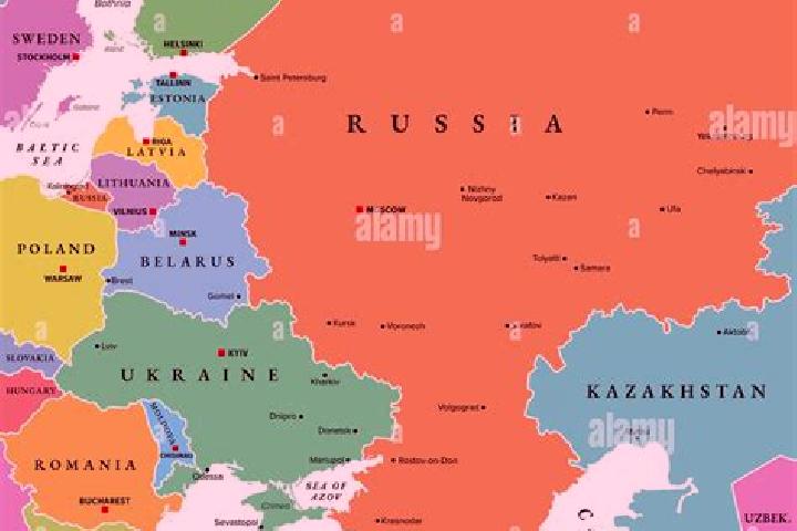 Escorts Komarovo, Russia — Local Companions