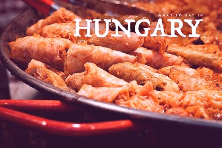 Escorts Kompolt, Hungary — Local Companions