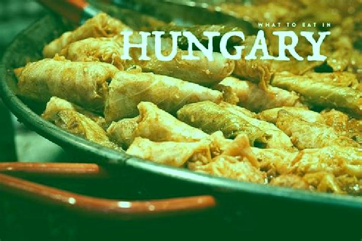 Escorts Konyar, Hungary — Local Companions