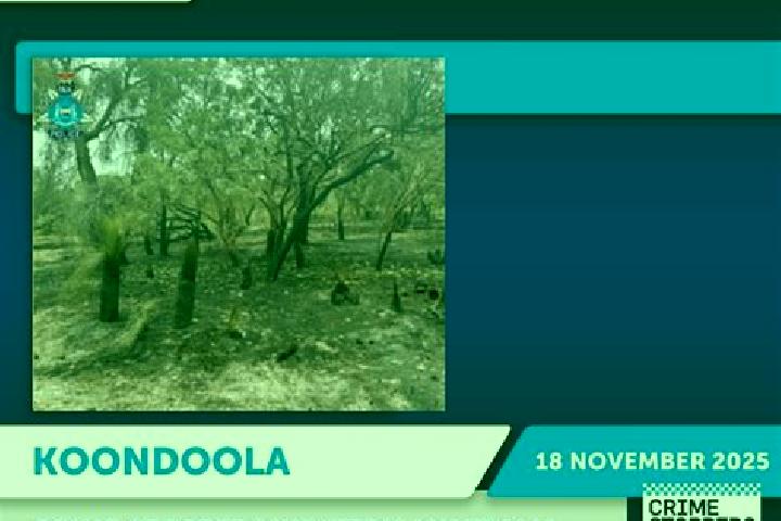 Escorts Koondoola, Australia — Local Companions