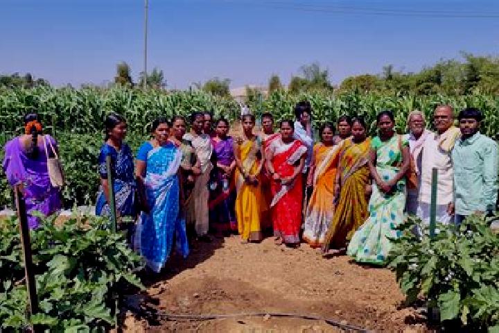 Escorts Koppal, India — Local Companions