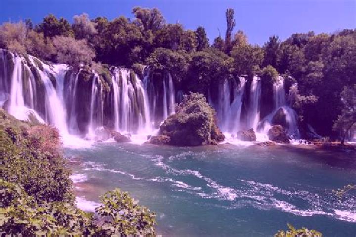 Escorts Korovi, Bosnia and Herzegovina — Local Companions