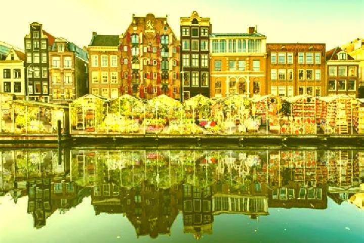Escorts Korrewegwijk, Netherlands — Local Companions
