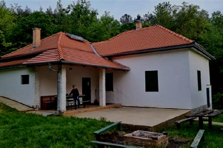 Escorts Kosd, Hungary — Local Companions