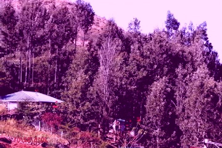 Escorts Kotagiri, India — Local Companions