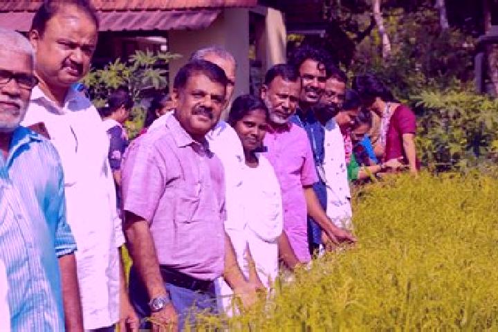 Escorts Kottuvalli, India — Local Companions