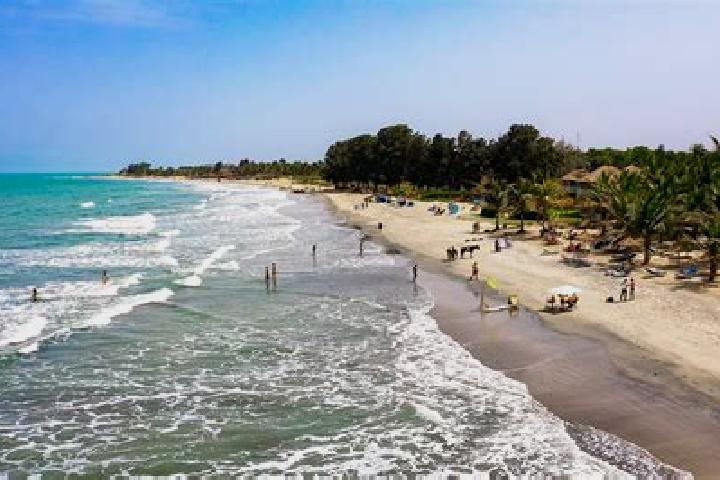Escorts Kotu, Gambia — Local Companions
