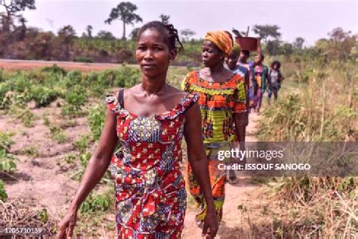 Escorts Kouamekro, Ivory Coast — Local Companions