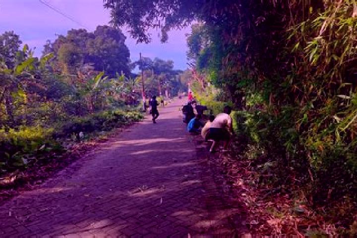 Escorts Krajan Kidul Rojopolo, Indonesia — Local Companions