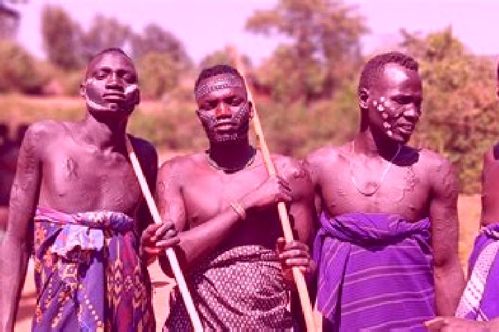 Escorts Kuyera, Ethiopia — Local Companions