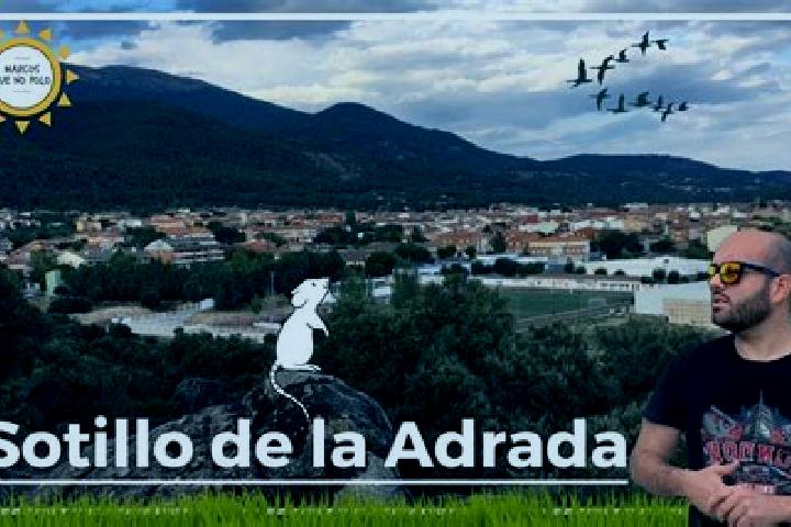 Escorts La Adrada, Spain — Local Companions