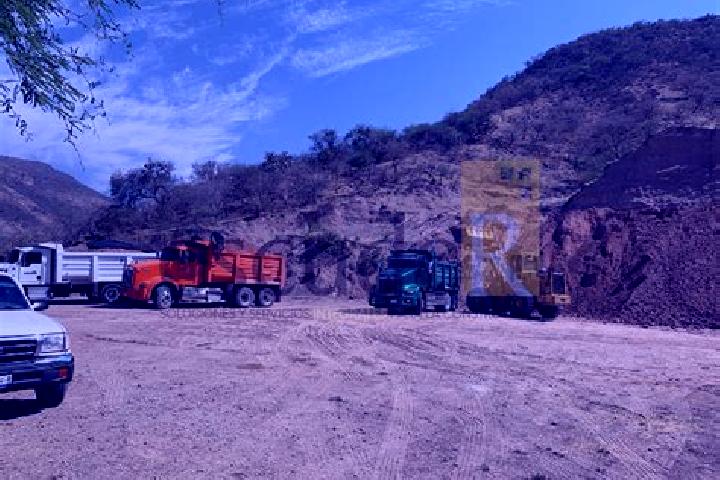 Escorts La Garrida, Mexico — Local Companions