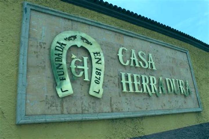 Escorts La Herradura, Mexico — Local Companions