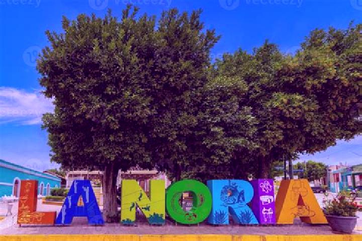 Escorts La Noria de San Antonio, Mexico — Local Companions