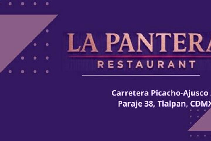 Escorts La Pantera, Mexico — Local Companions