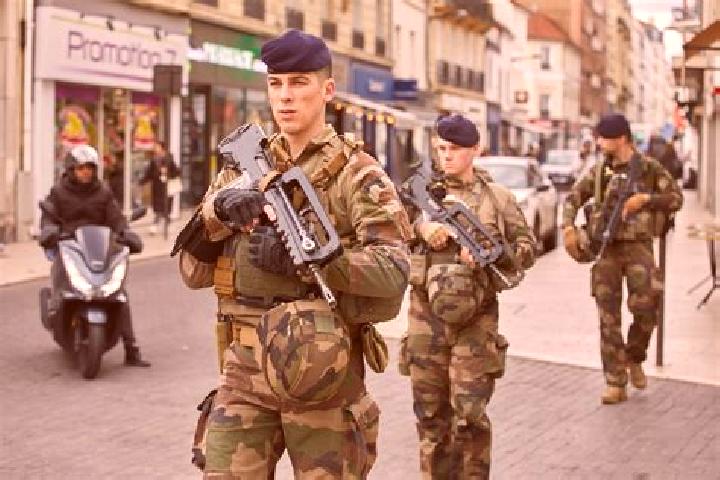 Escorts La Sentinelle, France — Local Companions