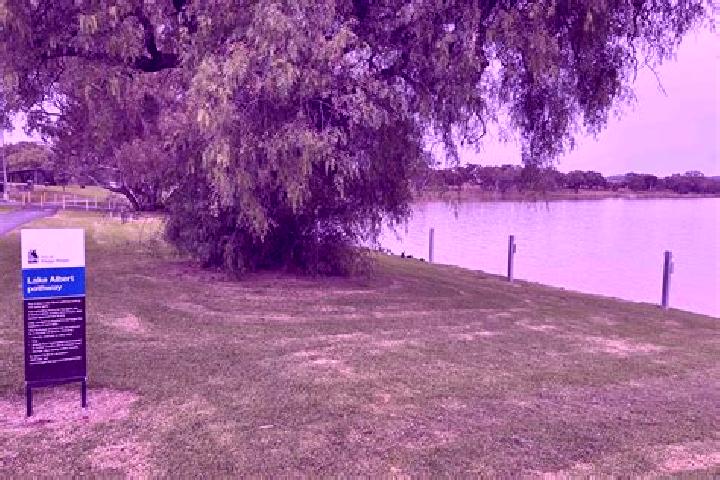 Escorts Lake Albert, Australia — Local Companions