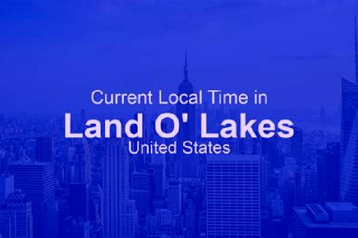Escorts Land O Lakes, United States — Local Companions