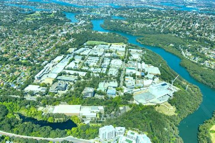 Escorts Lane Cove West, Australia — Local Companions