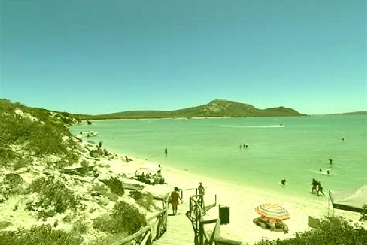 Escorts Langebaan, South Africa — Local Companions