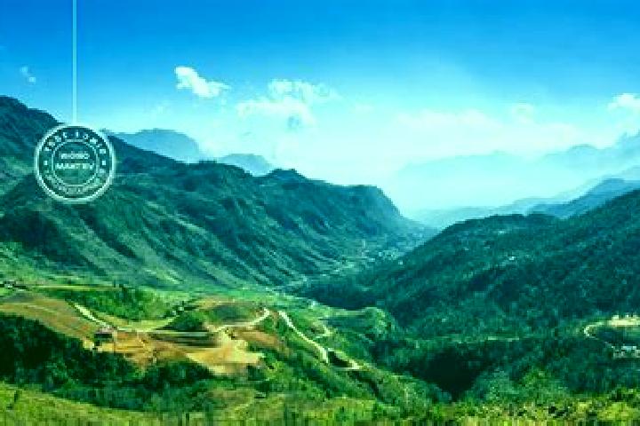 Escorts Lao Cai, Vietnam — Local Companions