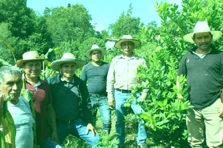 Escorts Larrainzar, Mexico — Local Companions