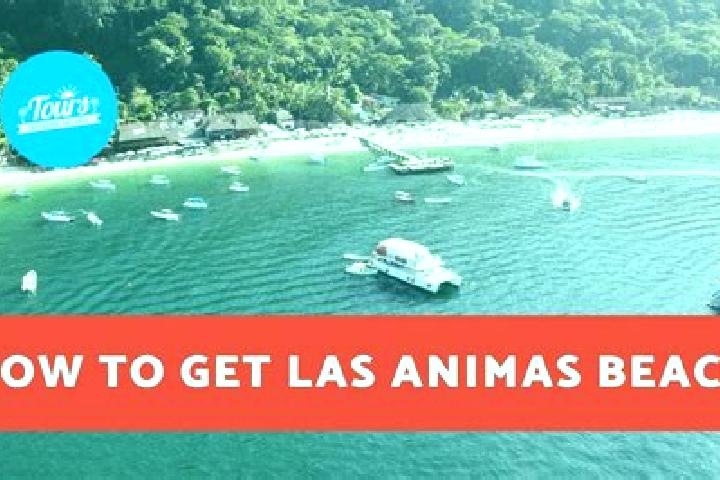 Escorts Las Animas, Honduras — Local Companions