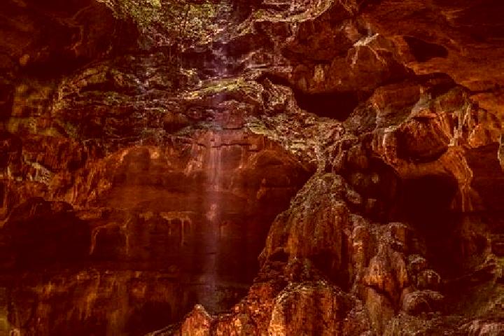 Escorts Las Cuevas, Mexico — Local Companions