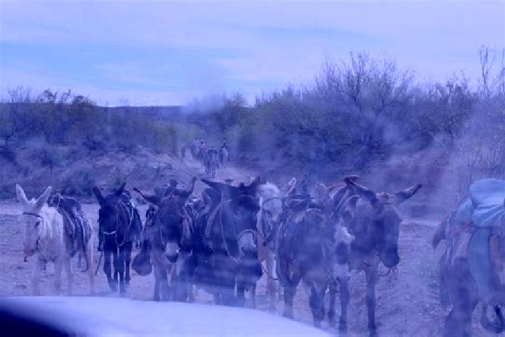 Escorts Las Norias de Ojocaliente, Mexico — Local Companions