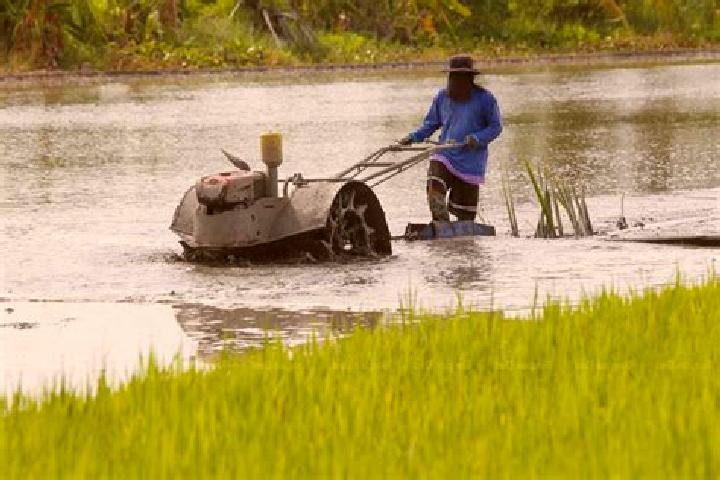 Escorts Lat Lum Kaeo, Thailand — Local Companions