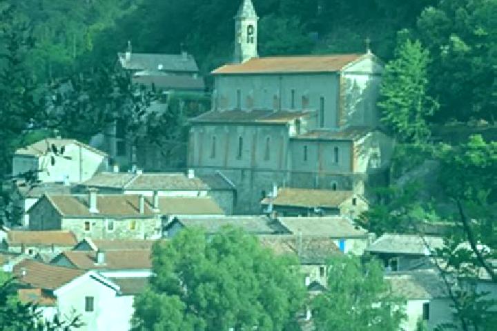 Escorts Le Chambon, France — Local Companions