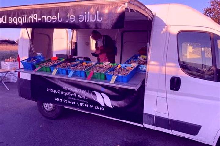Escorts Le Pallet, France — Local Companions