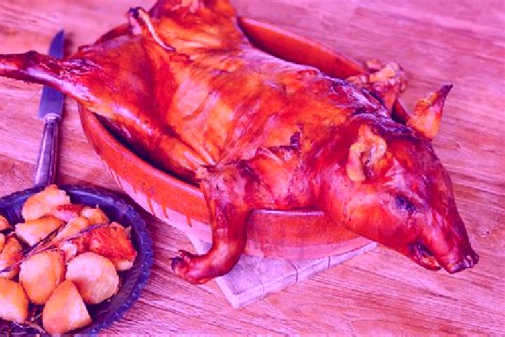 Escorts Lechon, Spain — Local Companions