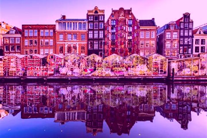 Escorts Leeuwarden, Netherlands — Local Companions