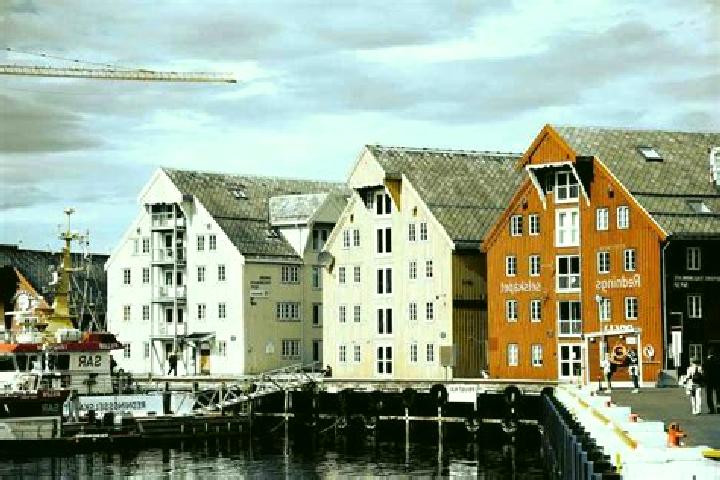 Escorts Leinesfjorden, Norway — Local Companions
