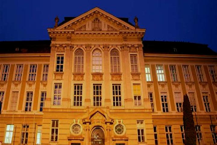 Escorts Leoben, Austria — Local Companions