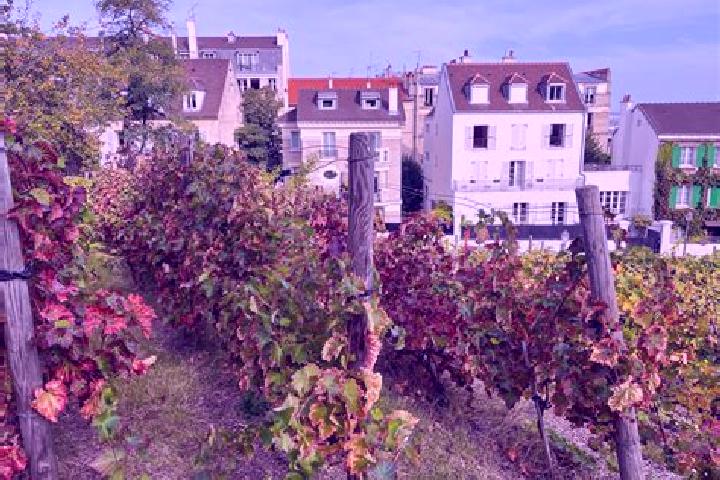 Escorts Les Rues-des-Vignes, France — Local Companions