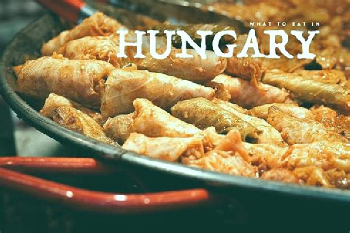 Escorts Level, Hungary — Local Companions