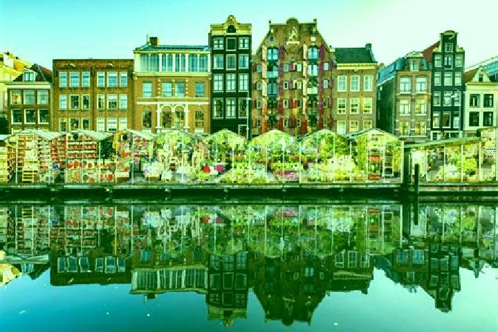 Escorts Lichtenberg, Netherlands — Local Companions