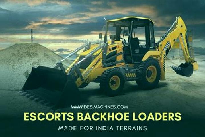 Escorts Limbodi, India — Local Companions