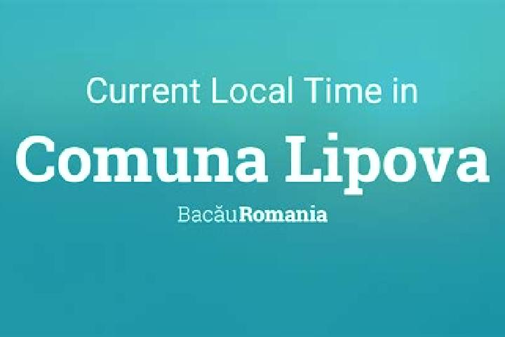 Escorts Lipova, Romania — Local Companions