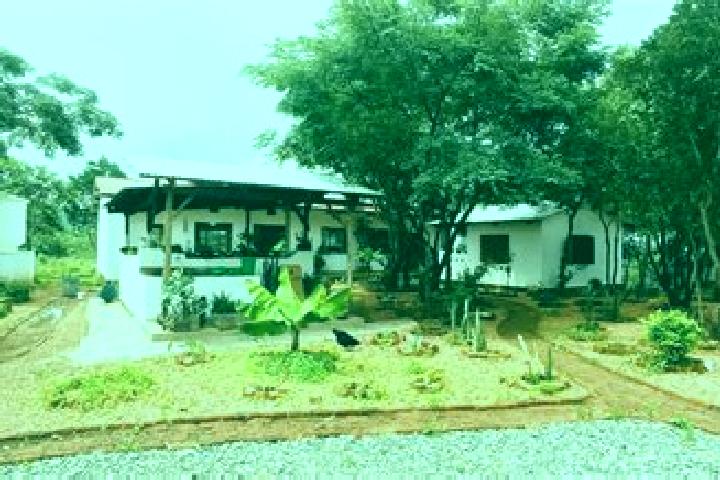 Escorts Livingstonia, Malawi — Local Companions