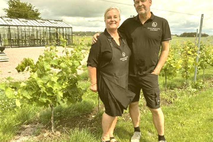 Escorts Ljungbyholm, Sweden — Local Companions