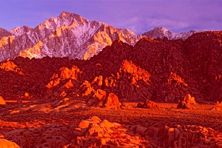 Escorts Lone Pine, United States — Local Companions